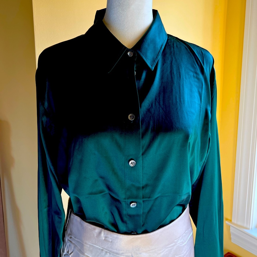 Frame Sz Small Standard Silk Button Down in Pine